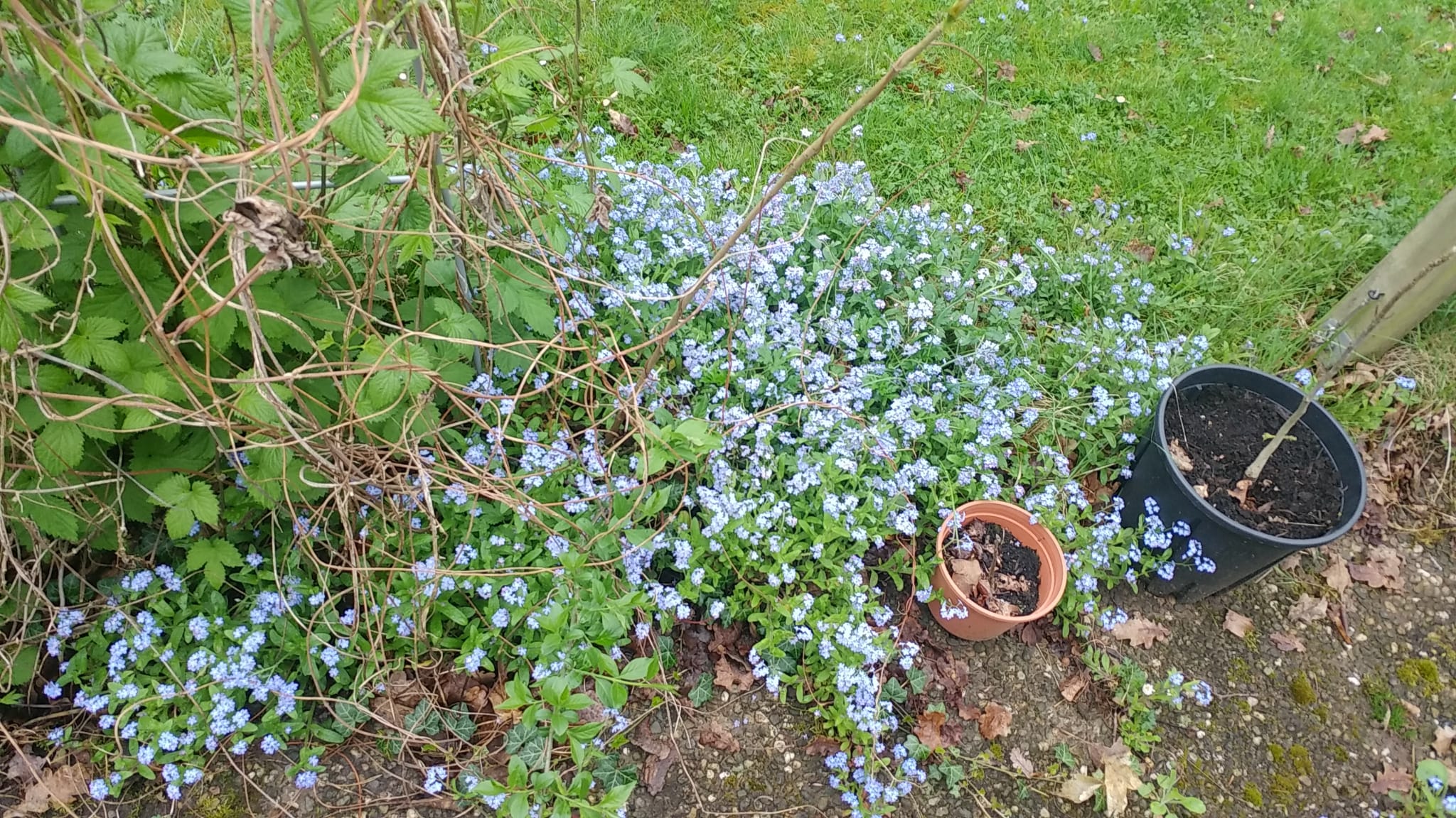 Professionelle Gartenpflege und Grundstücksarbeiten – AK 25 kümmert sich um Rasen, Hecken und komplette Außenbereiche